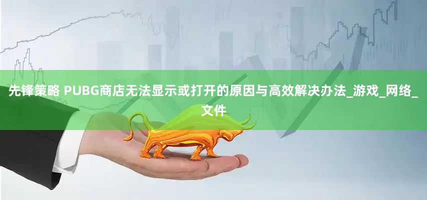 先锋策略 PUBG商店无法显示或打开的原因与高效解决办法_游戏_网络_文件