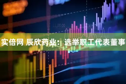 实倍网 辰欣药业：选举职工代表董事