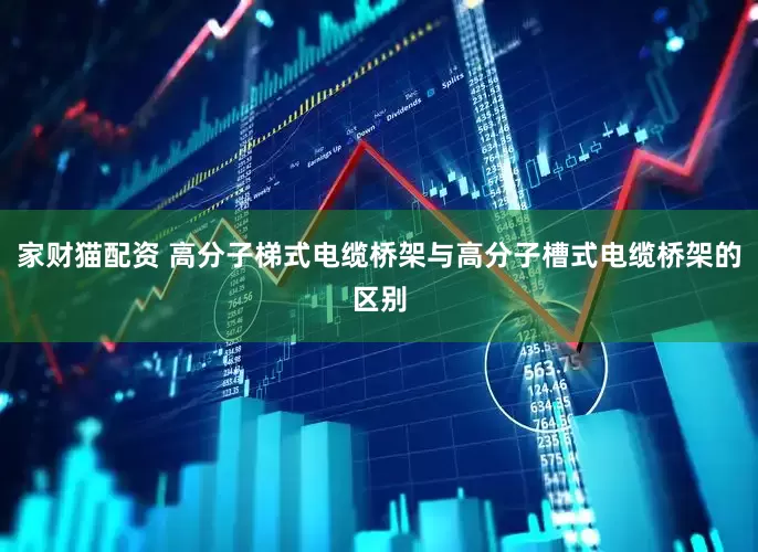 家财猫配资 高分子梯式电缆桥架与高分子槽式电缆桥架的区别