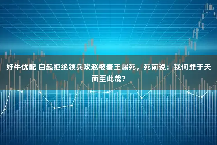 好牛优配 白起拒绝领兵攻赵被秦王赐死，死前说：我何罪于天而至此哉？